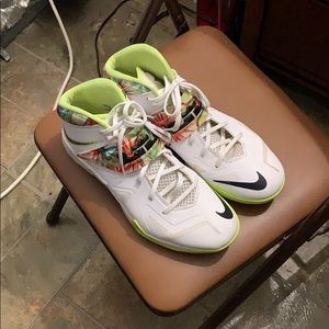 Nike Lebron James Palm Beach